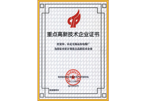 重點高新技術企業(yè)證書
